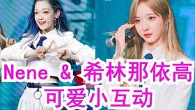 解答疑问 |